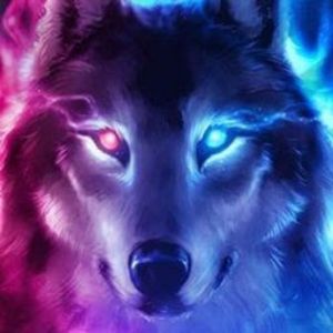 Meet your Posher, Dani